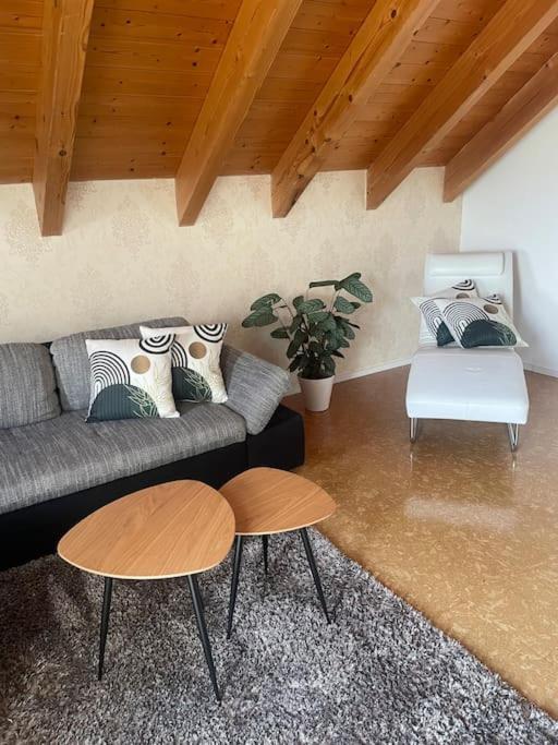 Appartamento Panorama Saentisblick Hergatz Esterno foto