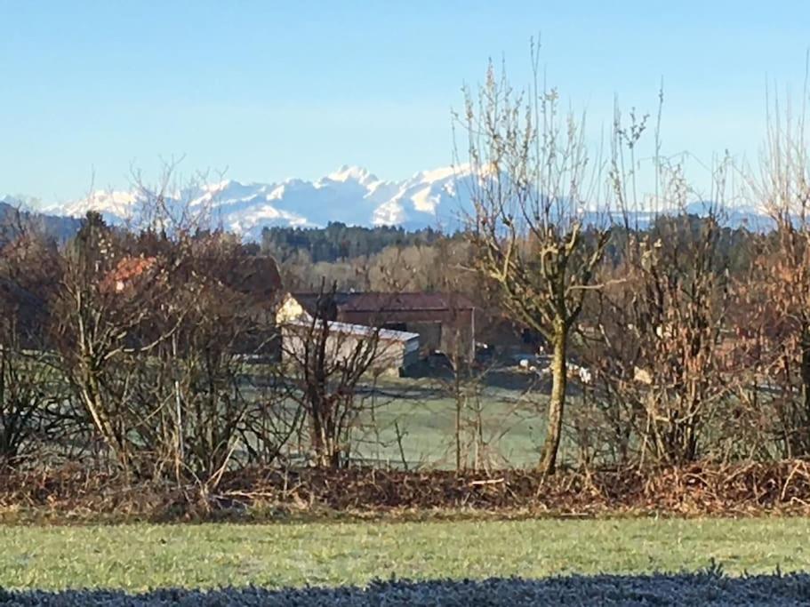 Appartamento Panorama Saentisblick Hergatz Esterno foto